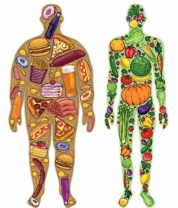 Mehr über den Artikel erfahren Die Synergie zwischen moderner Medizin und Naturheilkunde