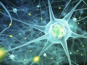 Mehr über den Artikel erfahren Als Personal Trainerin zur ganzheitlichen Gesundheitsberaterin werden